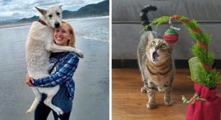 17 Cases When Pets Demonstrate Emotions About Something New (18 Photos)