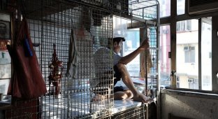 Cell apartments in Hong Kong: how people live in very cramped conditions (6 photos)
