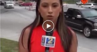 Reporter is not allowed to do her job