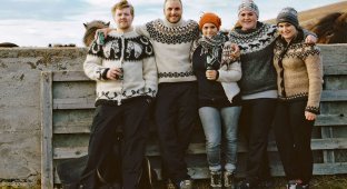 Как живут исландцы (8 фото)