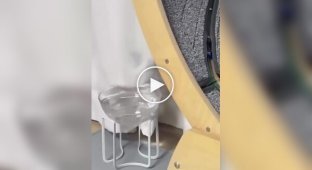 A complicated relationship between a cat and a bowl