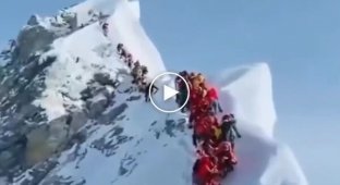 Снежная буря на Эвересте заблокировала тысячу туристов