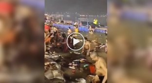 Not for the faint of heart: a public swimming pool in India