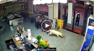 The dog saw the bottle
