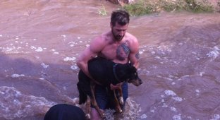 Мужчина бросился в холодную реку, чтобы спасти чужую собаку (5 фото)