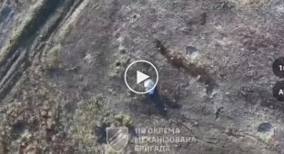 A Ukrainian drone destroys a tent with a Russian tourist