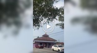 Десантник врізався в жінку на мотоциклі