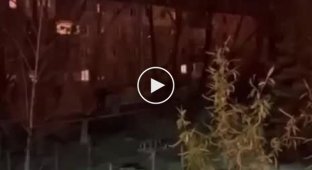В соцсетях публикуют видео из Донецкой области. Там сейчас так
