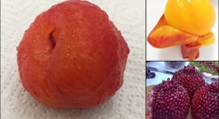 13 "откровенных фото" фруктов и ягод, которые обычно никто не чистит (14 фото)
