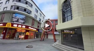 A Chinese resident built a McDonald's in his "Cat City"