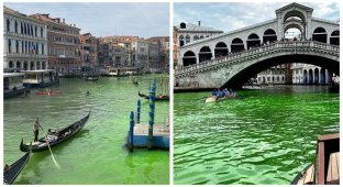Экоактивисты выкрасили воды Гранд-канала Венеции в зелёный цвет (3 фото + 2 видео)