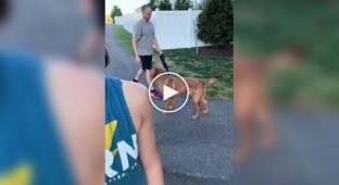Dog faced a difficult choice