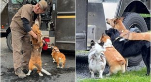 Курьер - собаке друг! Милейшие фото собак с доставщиками (26 фото)