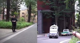 Зачем в Японии приделывают глаза беспилотным автомобилям (3 фото + 1 видео)