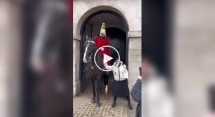 Here are the daily trials that befall the Royal Guard in the UK