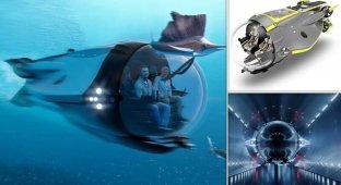 Submarine for billionaires (11 photos + 1 video)