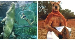 Amazing sizes: 35 photos of incredibly large animals (36 photos)