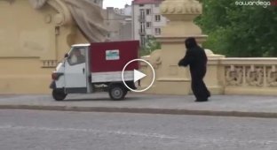 Прикольный розыгрыш человека в костюме гориллы