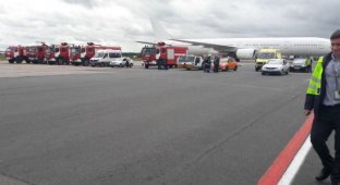 В аэропорту «Домодедово» самолет увяз в битуме (2 фото)