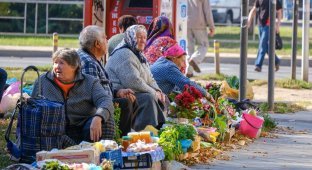 В Набережных Челнах пенсионерку оштрафовали за ведро смородины на 3000 рублей (1 фото)