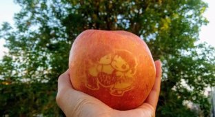 Техника «Модзи Ринго»: как в Японии делают рисунки на яблоках (6 фото)