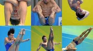 Самые смешные лица прыгунов в воду (20 фото)
