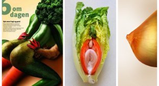 Овощное порно (12 фото)