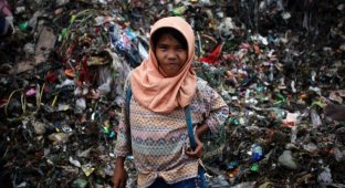 Дети на свалке в Индонезии (24 фото)