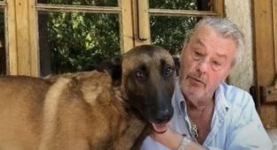 Alain Delon asked to euthanize his dog Loubo after his death (2 photos)