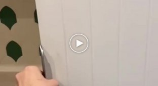 Необычный обитатель холодильника