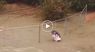 В Крыму парень спас пожилую женщину, попавшую в западню из-за наводнения