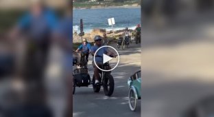 In the US, they held a bike ride of corgis in cradles