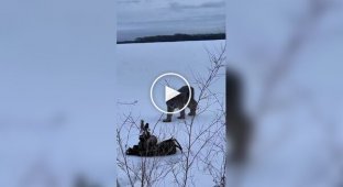 Як приманюють тварин на фотопастку