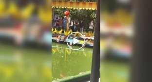 In Vietnam, monkey swims are being held instead of horse races