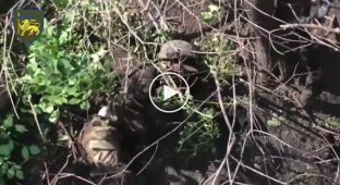 Воины Ингулецкой бригады сбросами боеприпасов ликвидировали 8 российских захватчиков