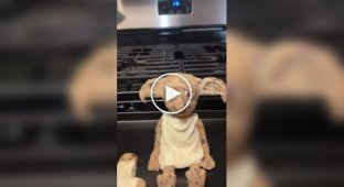 Девушка хотела испечь печенье в виде Добби, но что-то пошло не так