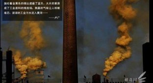 Проблема экологии в Китае (30 фотографий)