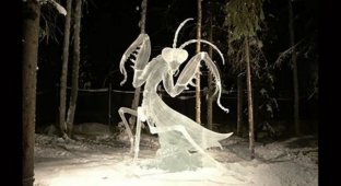 Необычные ледяные скульптуры (22 фото)