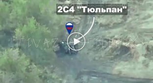 Силы обороны уничтожили российский миномет Тюльпан на Луганщине