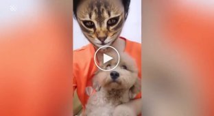 Веселая реакция собак, когда они видят кошачий фильтр на лицах владельцев
