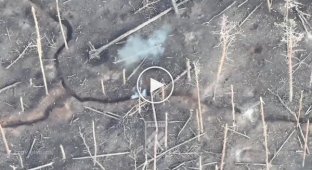 Поранений російський військовий стріляє собі в голову з автомата на Кремінському напрямку