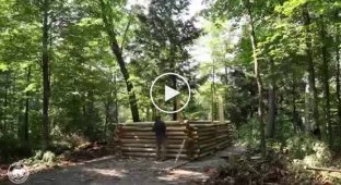 Канадец построил домик в лесу своими руками