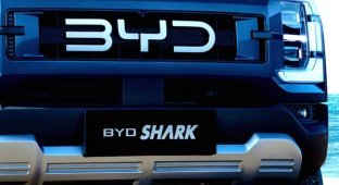 The most famous investor on the planet made a colossal fortune on BYD shares (2 photos)