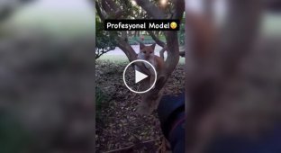 Пушистая фотомодель