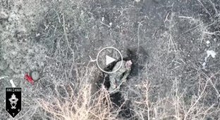 Операторы дронов 92-й ОШБр уничтожают окупантов на Бахмутском направлении