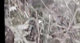 A wounded Russian soldier blows himself up with a grenade in the Bakhmut direction