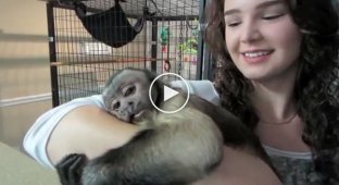The monkey's reaction to his owner, whom he has not seen for a long time