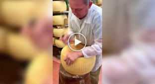Як правильно обробляти голівку сиру