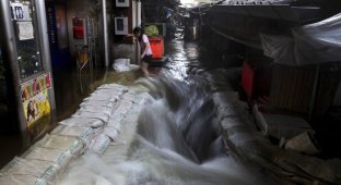 Наводнение в Таиланде: Бангкок под угрозой (26 фото)