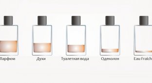 Разница между одеколоном, духами, туалетной водой и парфюмом (2 фото)